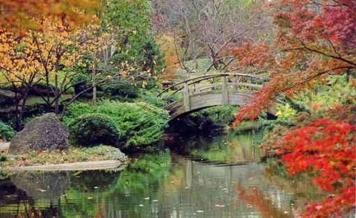 Japanese Garden Wall Decal