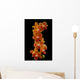 Stem Orchids Wall Decal