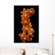 Stem Orchids Wall Decal