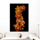 Stem Orchids Wall Decal
