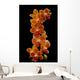 Stem Orchids Wall Decal