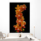 Stem Orchids Wall Decal