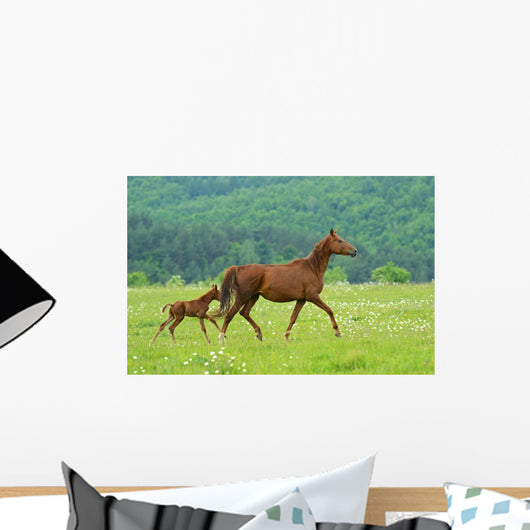 Horse Wall Decal