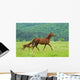 Horse Wall Decal