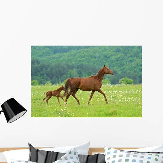 Horse Wall Decal