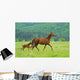 Horse Wall Decal