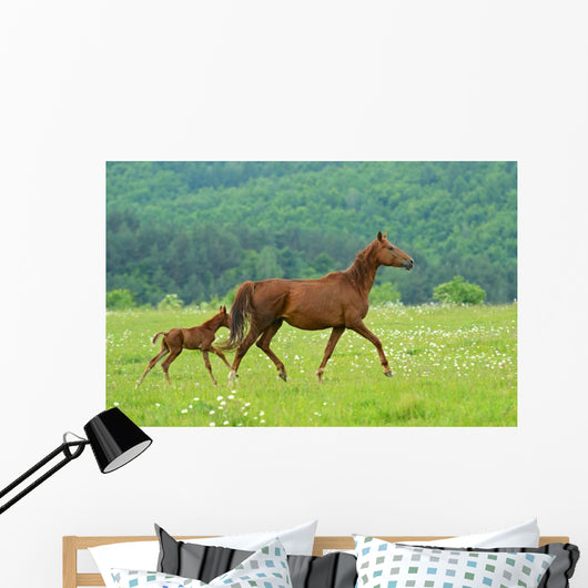 Horse Wall Decal