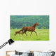Horse Wall Decal