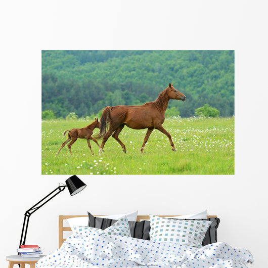 Horse Wall Decal