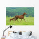 Horse Wall Decal