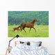 Horse Wall Decal