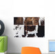 Cow Hides up Wall Decal