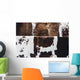 Cow Hides up Wall Decal