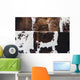 Cow Hides up Wall Decal