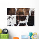 Cow Hides up Wall Decal