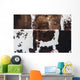 Cow Hides up Wall Decal