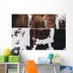 Cow Hides up Wall Decal