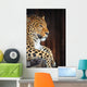 Leopard Portrait Wall Decal
