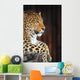 Leopard Portrait Wall Decal