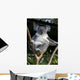 Koala in a Tree Wall Decal