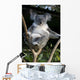 Koala in a Tree Wall Decal