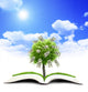 Money Treet Book Wall Decal