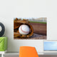 Baseball Glove Baseball Field Wall Decal