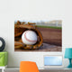 Baseball Glove Baseball Field Wall Decal