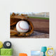 Baseball Glove Baseball Field Wall Decal