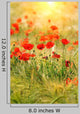 Red Poppies Wall Decal