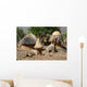 Cases Et Greniers Wall Decal