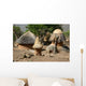 Cases Et Greniers Wall Decal