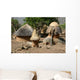 Cases Et Greniers Wall Decal