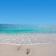 Footprint Beach with Nice Wall Decal