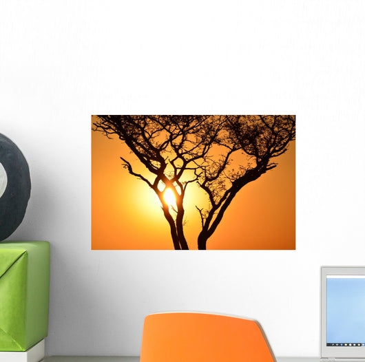 Sunset Tree Wall Decal