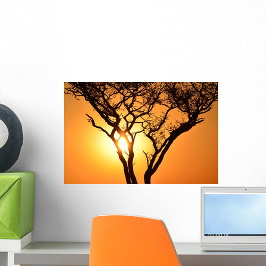 Sunset Tree Wall Decal