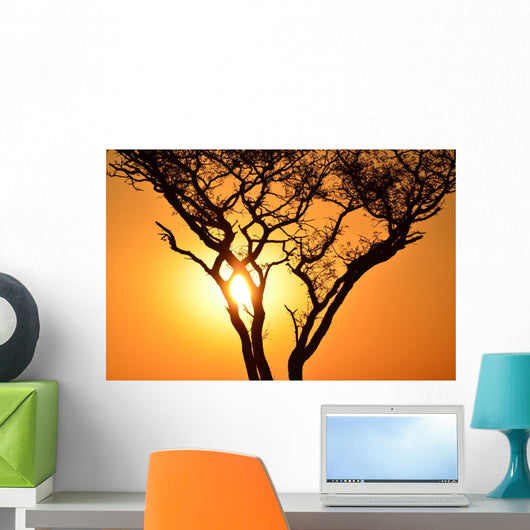 Sunset Tree Wall Decal