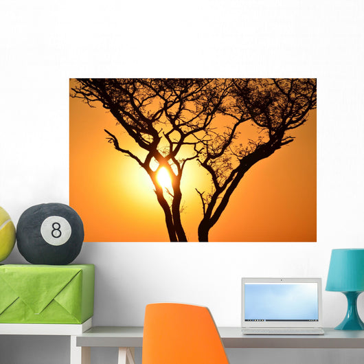 Sunset Tree Wall Decal