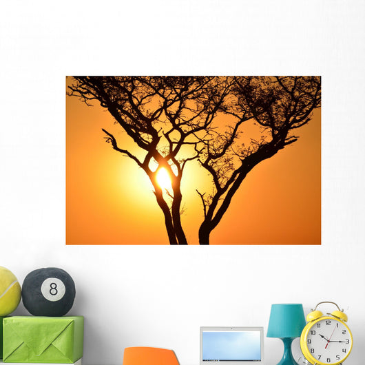 Sunset Tree Wall Decal