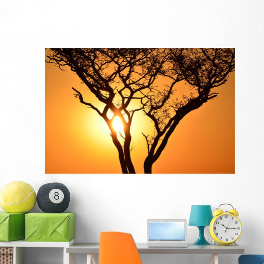 Sunset Tree Wall Decal