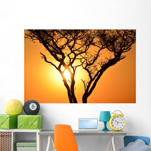 Sunset Tree Wall Decal