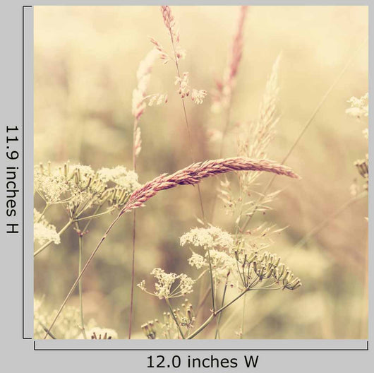 Summer Meadow Wall Decal