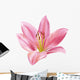 Lily Flower Wall Decal