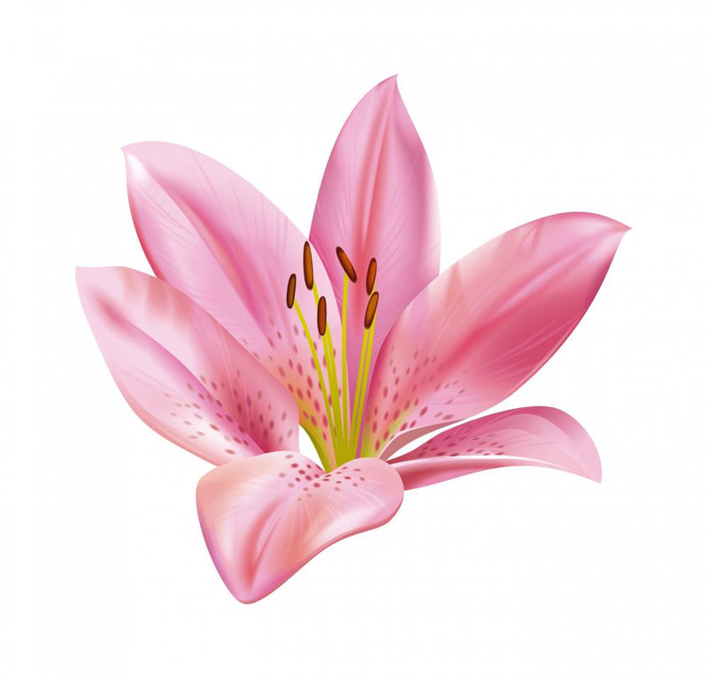 lily flower wall decals Lily Flower Wall Decal