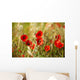 Field Poppies Wall Decal