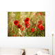 Field Poppies Wall Decal