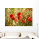 Field Poppies Wall Decal