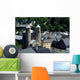Bad M Nstereifel Eifel Wall Decal