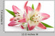 Two Pink Lily Wall Decal