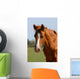 Chestnut Foal Meadow Wall Decal